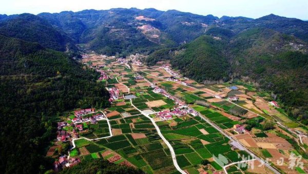 配资查查 远安：返乡大学生开启“硬核”暑假